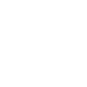 FSB